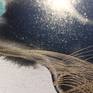 Close up on 'Blue Planet 1'.