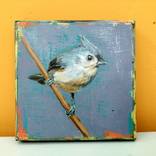 Tufted  Titmouse by steven ferguson