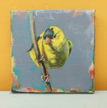 American  Goldfinch thumb