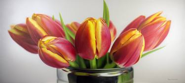 Tulips thumb