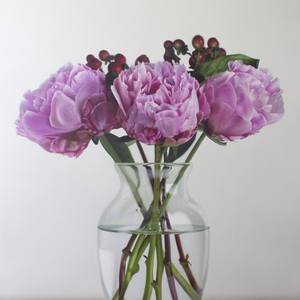 Collection Best of December