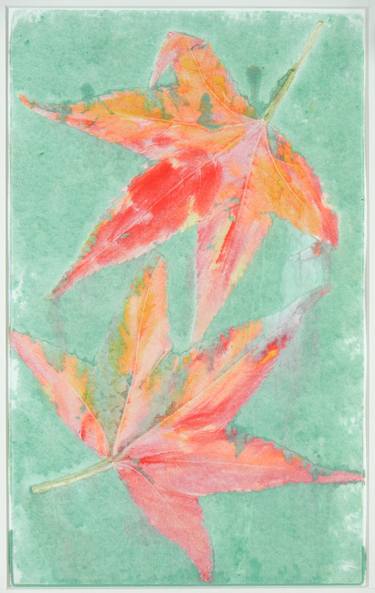 Original Botanic Printmaking by Michael Markiw