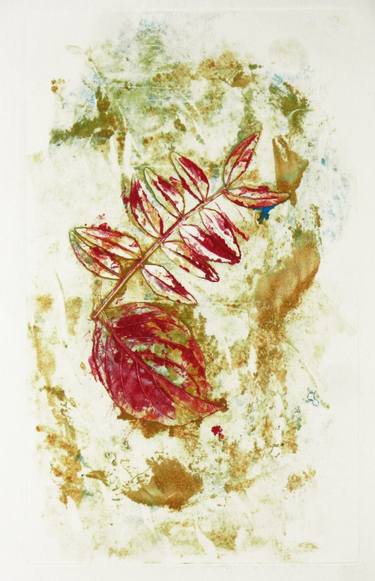 Original Botanic Printmaking by Michael Markiw