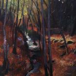 The Stream by Roeland Kneepkens