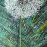 Dandelion by Dejan Bozinovski