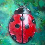 Ladybug by Dejan Bozinovski