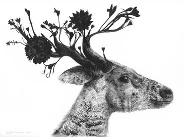 Flower Stag thumb