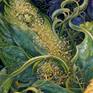 detail 5-2