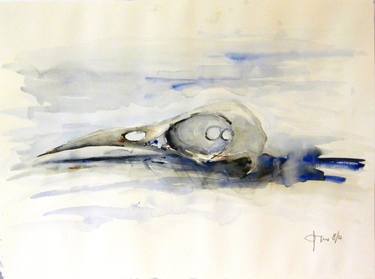 archipelago's bird skeleton series no 1 thumb