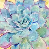 Blue Succulent by Andrea Merican