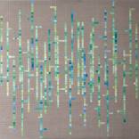 Bifurcation by Cintia Garcia