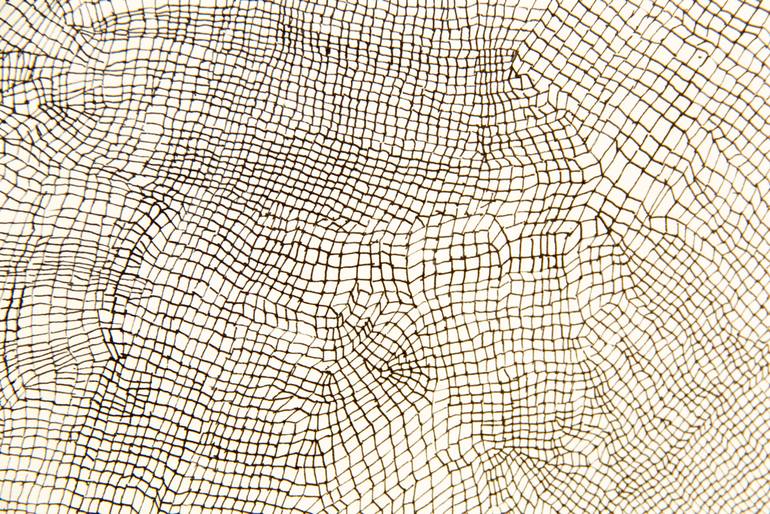 Original Conceptual Abstract Drawing by Cintia Garcia