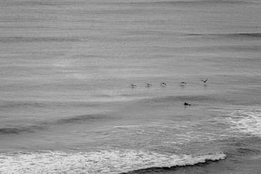 Flock and Surfer thumb