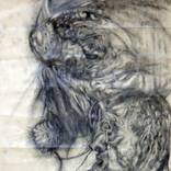 Collection Old World Drawings