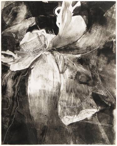 Print of Impressionism Botanic Printmaking by Maxine Davidowitz