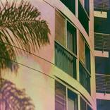 Palm Shadows by Gina Soden