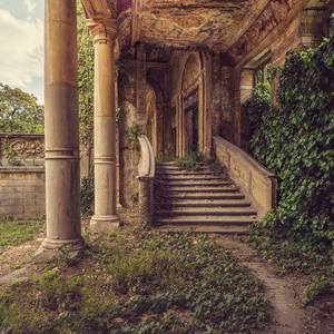 Collection Rising Art Stars - Times+