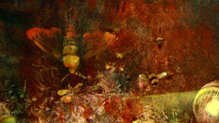 Original Expressionism Landscape Painting by Dmitry Kuznichenko