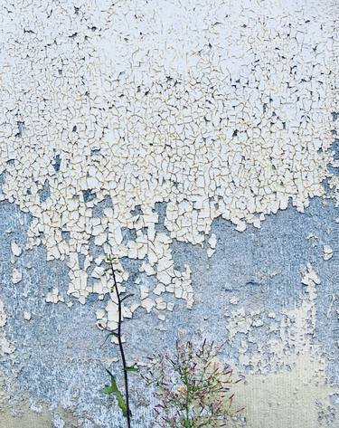 When the wall comes tumbling down thumb