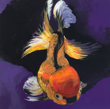 Carassius Auratus goldfish thumb