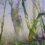 Rainforest Tangle by Randall  Tipton