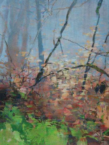 Original Abstract Landscape Paintings by Randall Tipton