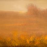 Collection Color Story: The Harvest Palette