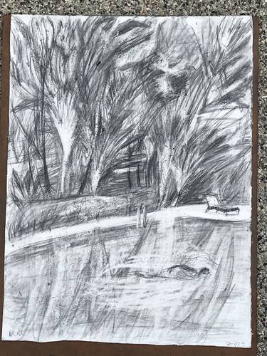 Original Landscape Drawing by Mary Castle-Millner