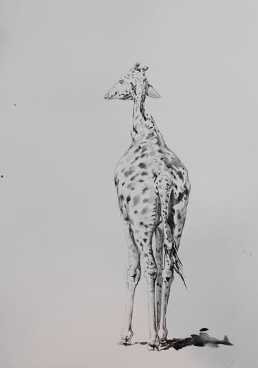 Original Animal Drawings by Marina Skepner