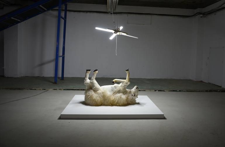Original Realism Animal Installation by Sun-Hyuk Kim