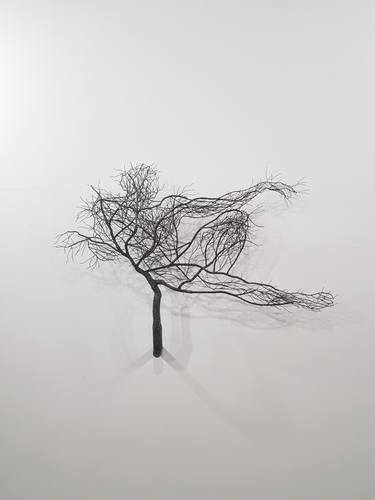 Original Figurative Nature Sculpture by Sun-Hyuk Kim