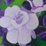 view additional image 1