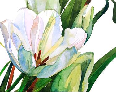 Original Botanic Paintings by Michelle Thomas