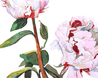 Original Fine Art Botanic Paintings by Michelle Thomas