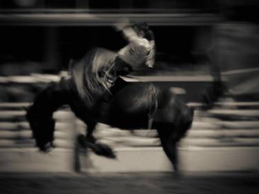 Original Abstract Horse Photography by Bryan Helm