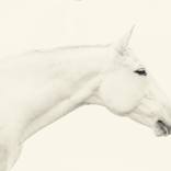 Blanco Series #3 - Limited Edition 1 of 15 by Bryan Helm