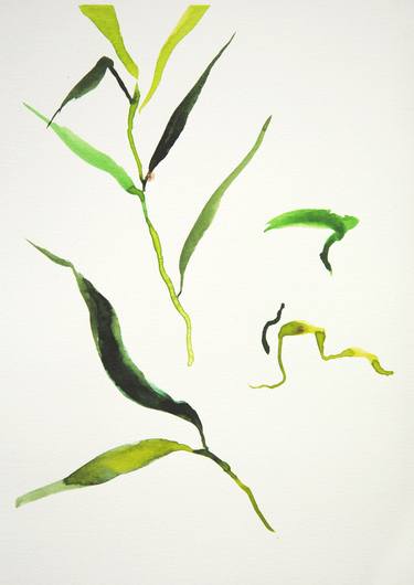 Original Botanic Paintings by Dorota Wójcik