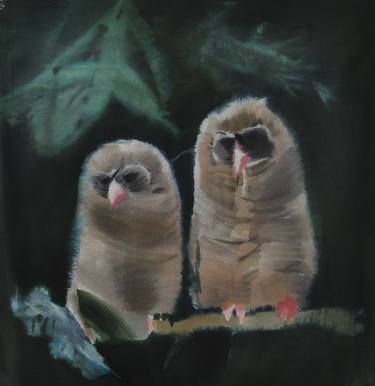 Original Animal Paintings by Dorota Wójcik