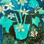 The Plant by Miriam Hommes