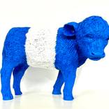 Beltie by Deirdre Nicholls
