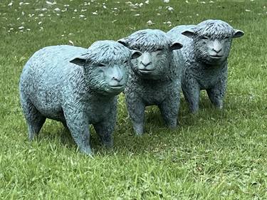 Original Animal Sculpture by Deirdre Nicholls