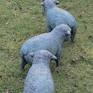Three bronze sheep from above