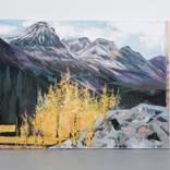 Into the Wild by Louise Aldridge