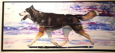 Original Contemporary Animal Paintings by Claire Moore
