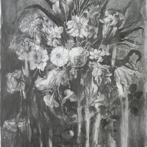 Collection flowers drawings