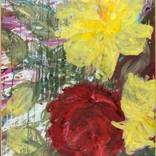may rose by Arusha Cecone