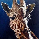 Rosie by Linda Becker