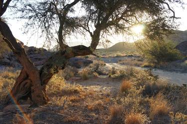 Damaraland thumb