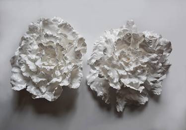 2 White Flowers thumb