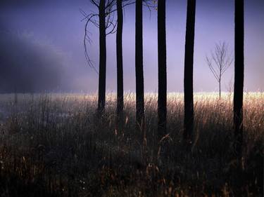 Print of Impressionism Nature Photography by Krunoslav Večenaj